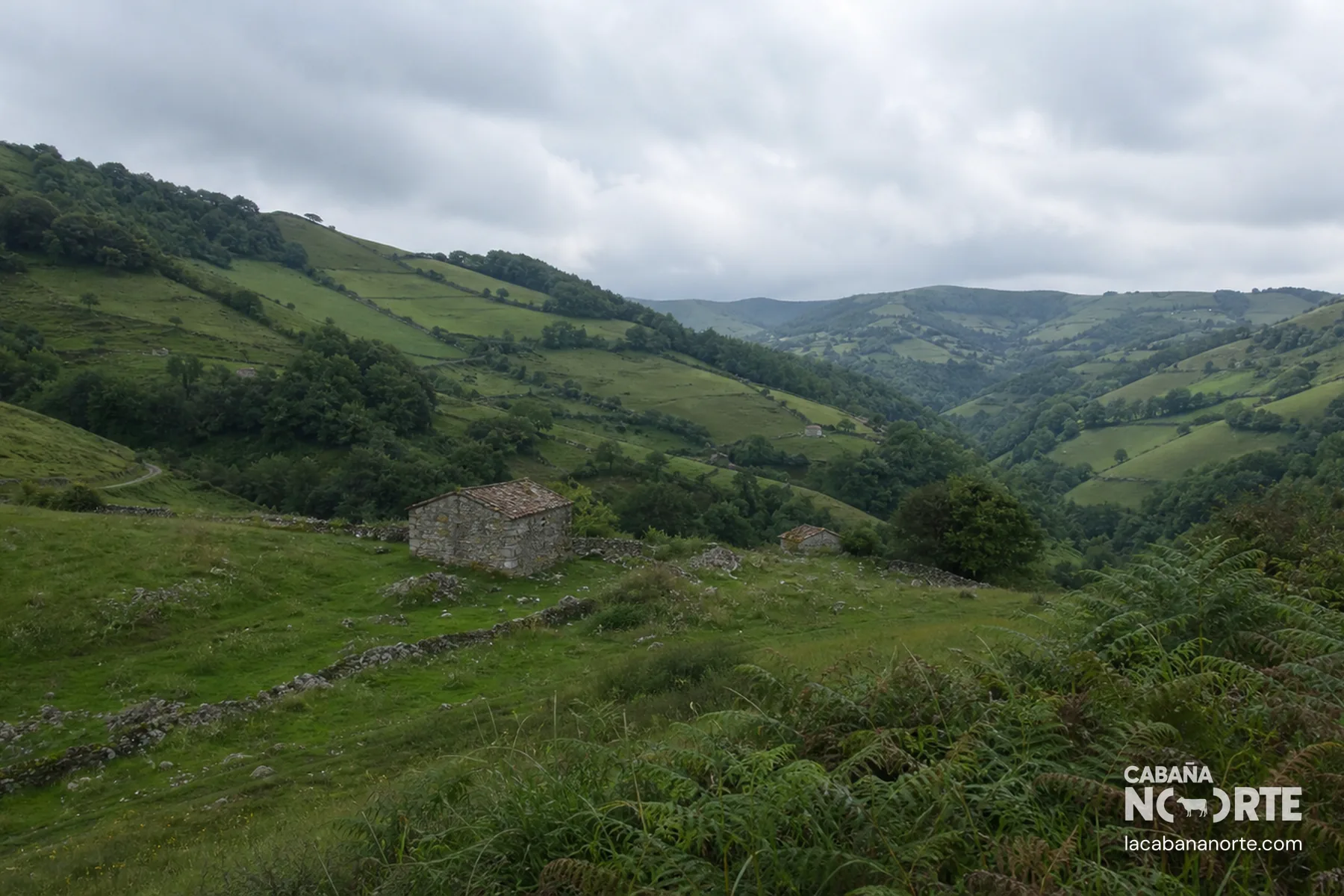 Paisaje de bosque en los Valles Pasiegos