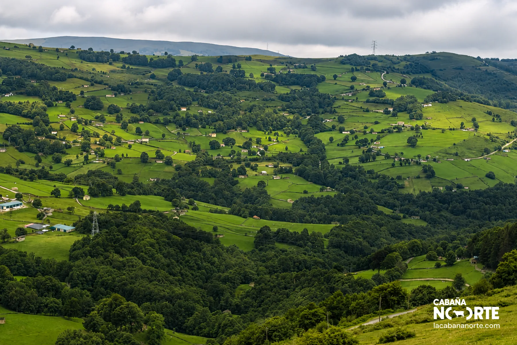 Sendero rural entre praderas para hacer rutas suaves por los Valles Pasiegos de Cantabria en un día soleado