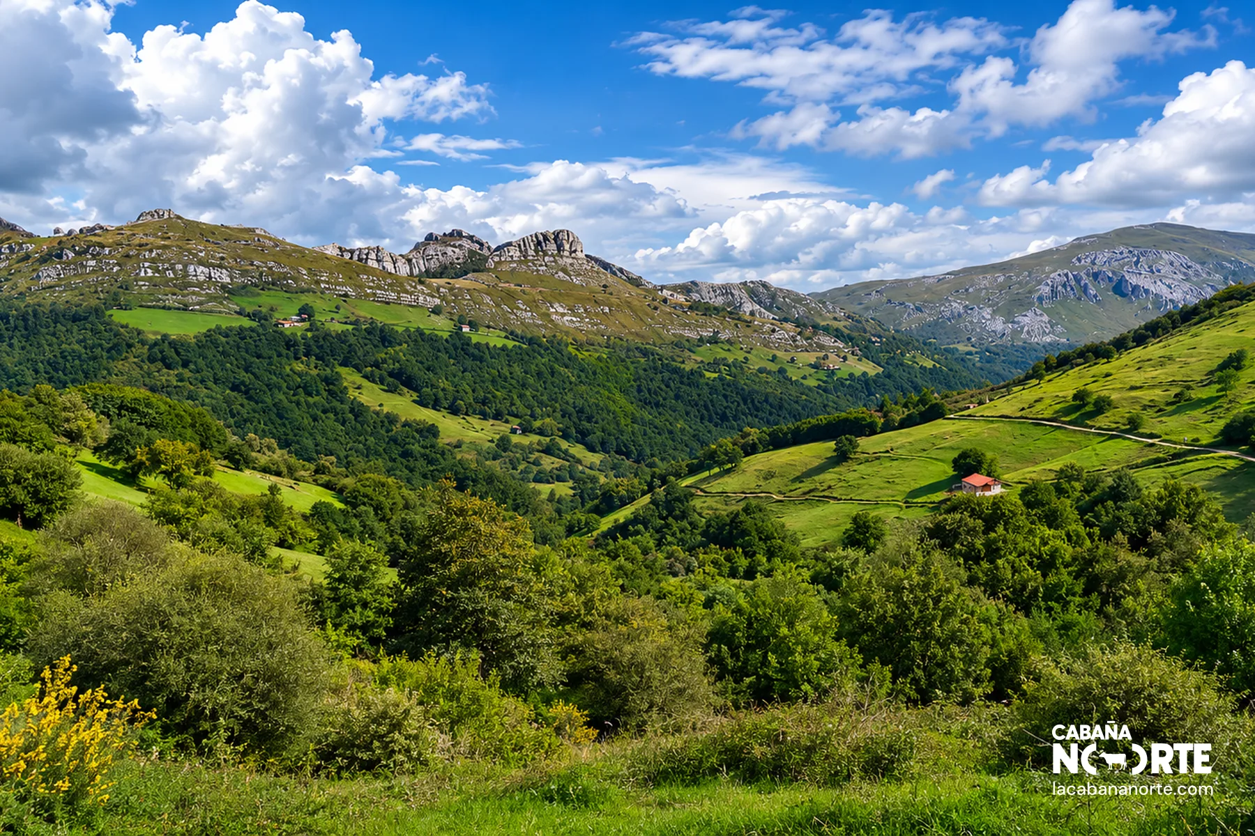 Vista del mar Cantábrico desde los Valles Pasiegos, con prados verdes en primer plano y el horizonte marino al fondo