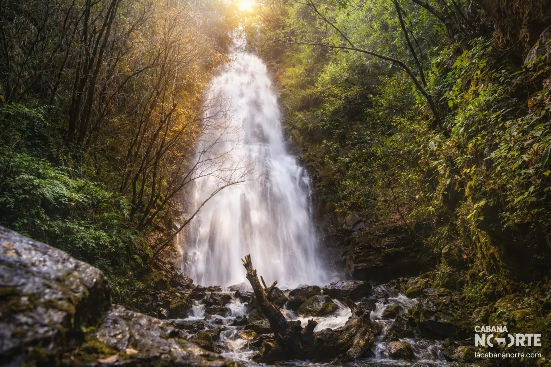Cascada del Churrón de Borleña rodeada de bosque, ruta de senderismo en los Valles Pasiegos de Cantabria
