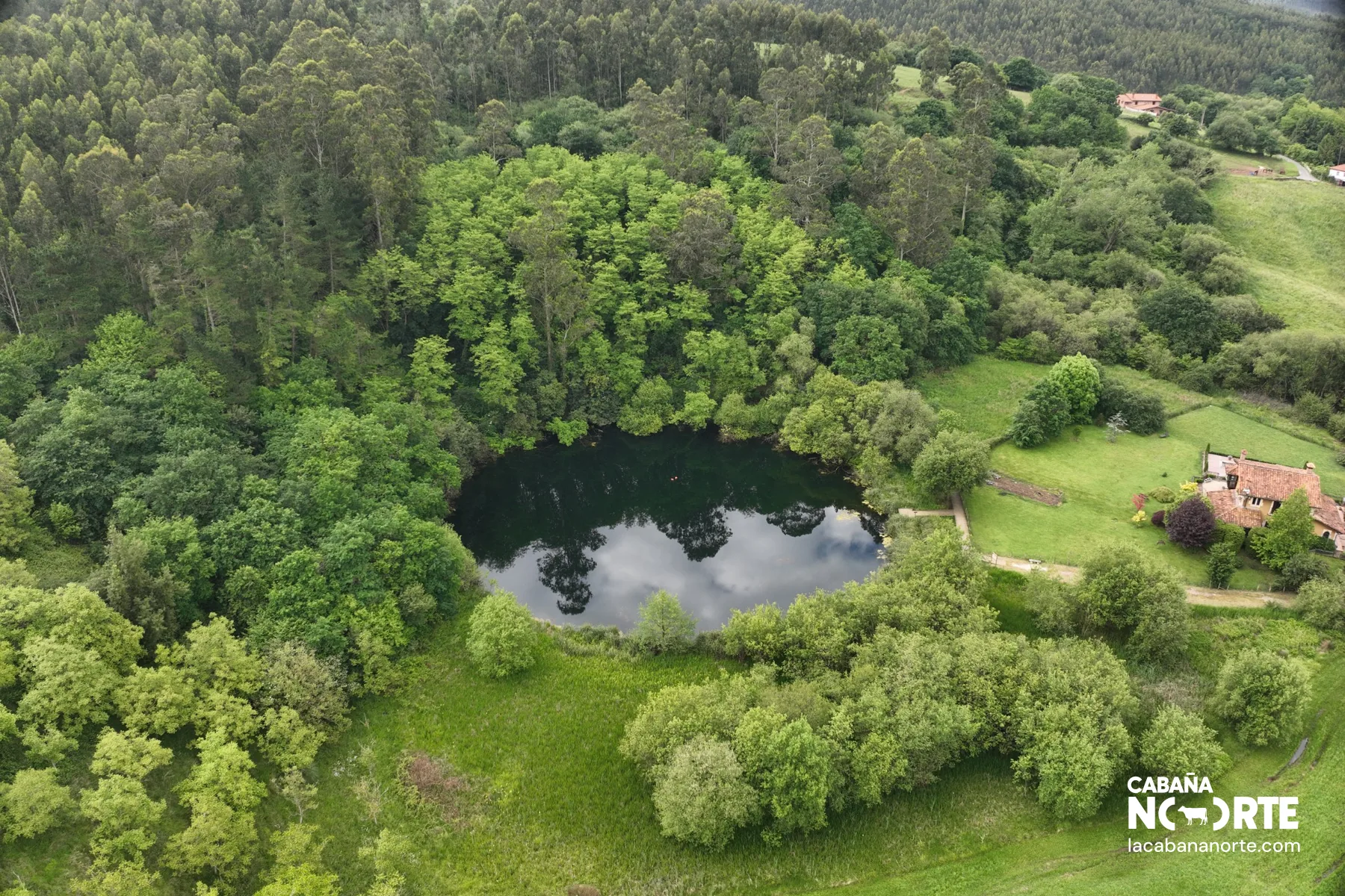 Ruta circular al Pozo Tremeo: naturaleza, leyendas y bosque húmedo en Polanco